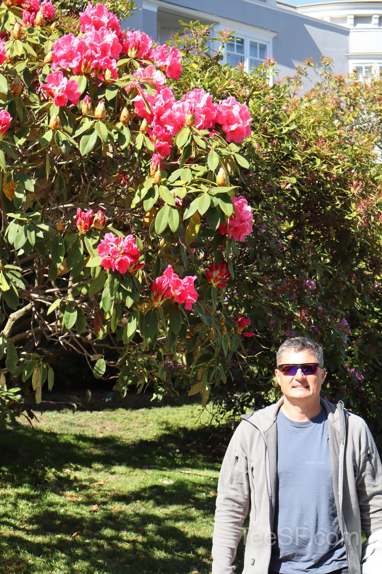palace Lagoon And Flowers during a Stripe Sessions 2026 visit in San Francisco.